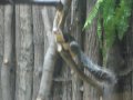 IMGP0864.JPG